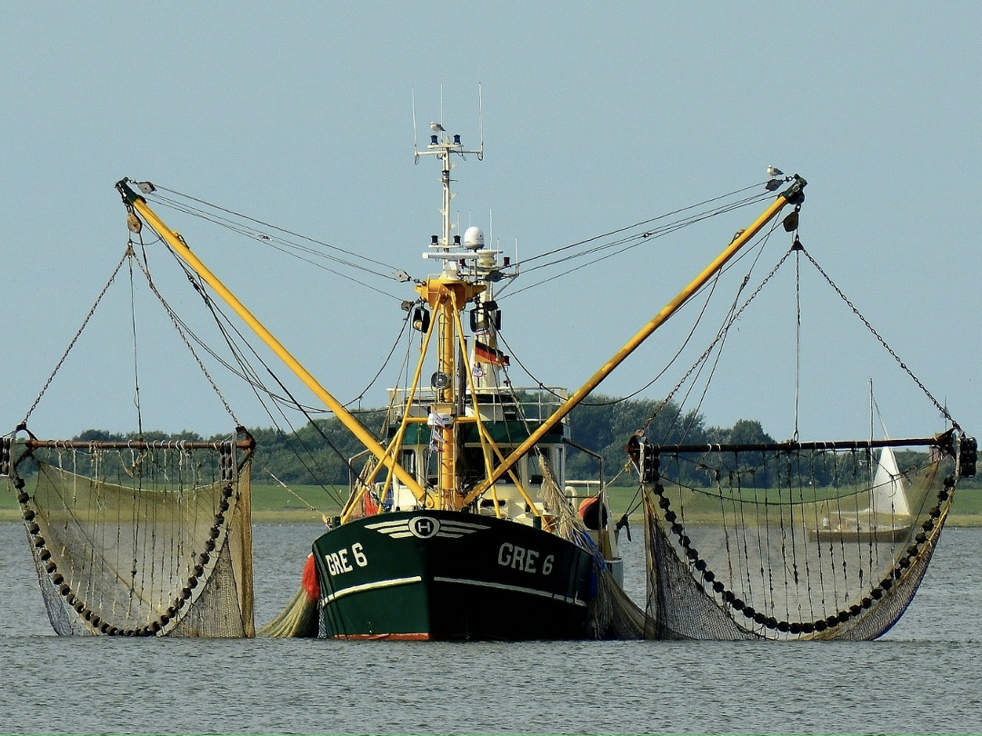 По итогам этого года достичь плановых значений, заложенных в Стратегии развития АПК и рыбохозяйственного комплекса, не удастся: вылов водных биоресурсов будет…