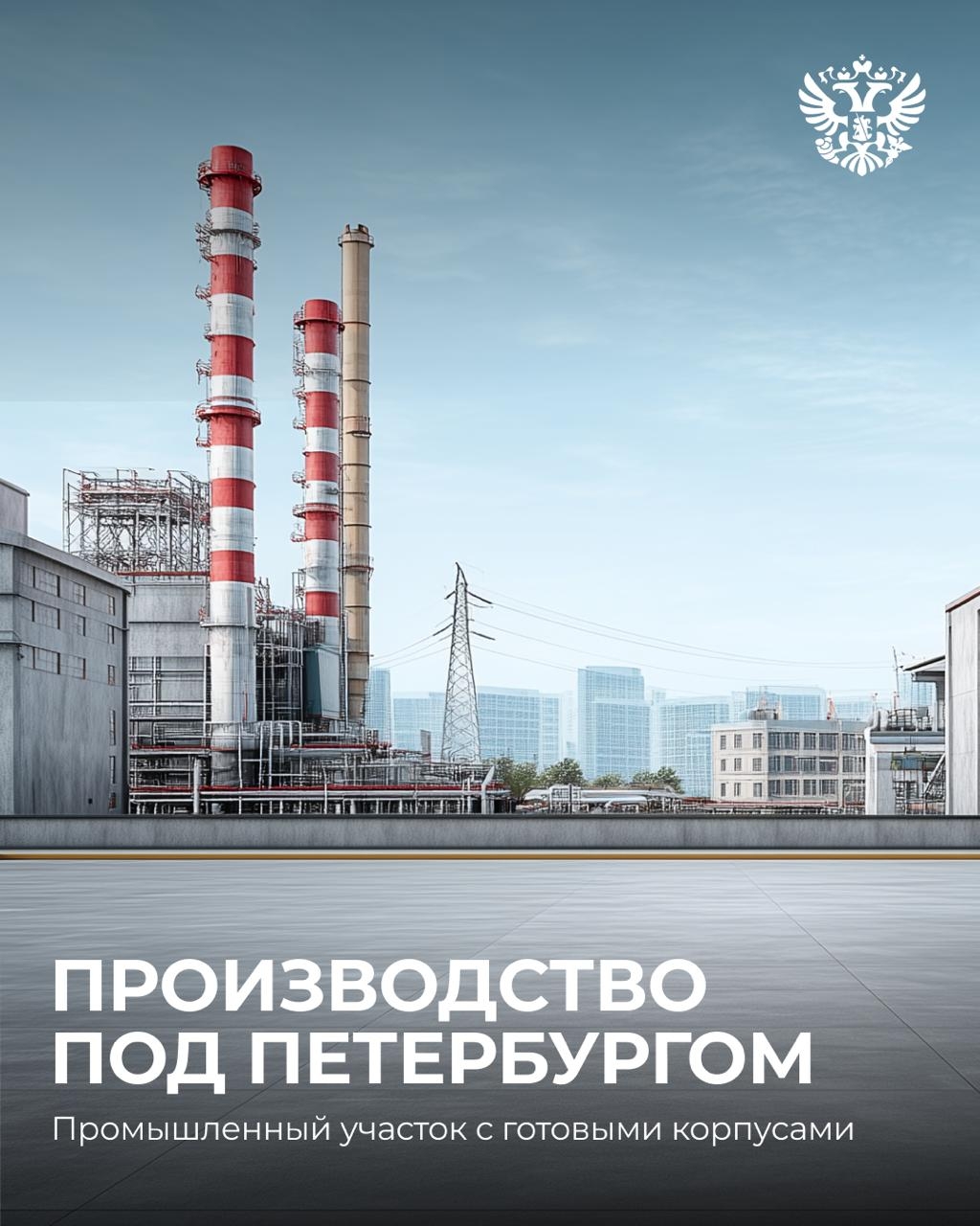 Слышали о настоящей земле возможностей в посёлке Елизаветино? Сейчас расскажем: