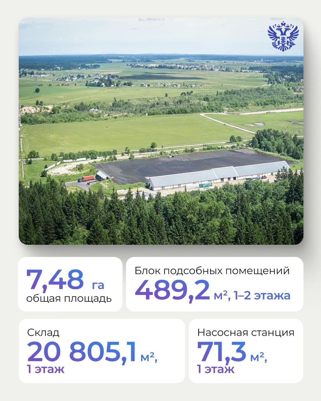 Слышали о настоящей земле возможностей в посёлке Елизаветино? Сейчас расскажем: