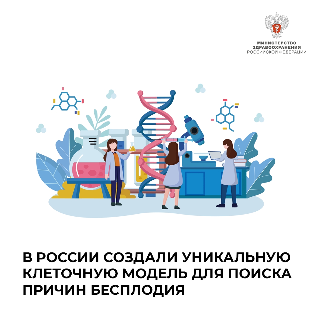 В России создали уникальную клеточную модель для поиска причин бесплодия