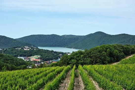 Госдума в третьем чтении приняла законопроект, который допускает строительство объектов для нужд сельского туризма на винодельнях. При этом плотность…