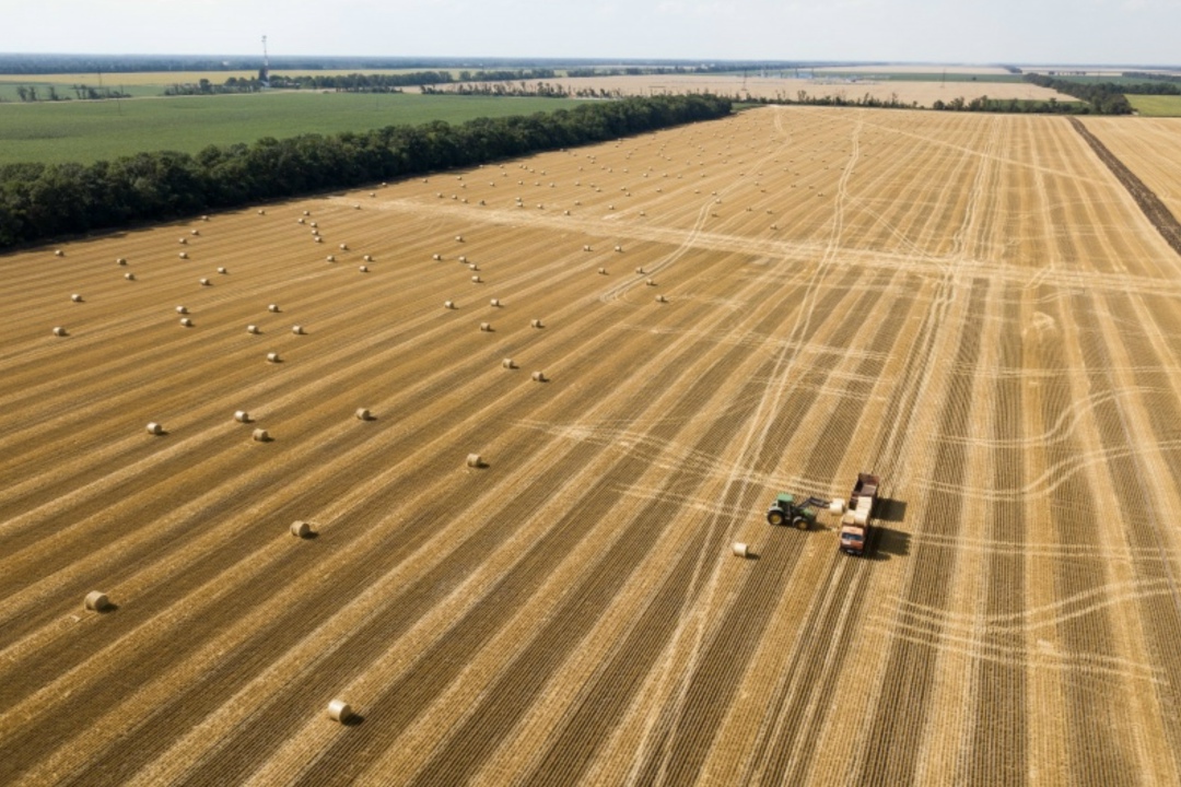 Минсельхоз совместно с регионами занимаемся определением оптимального парка сельхозтехники для каждого субъекта с учетом природно-климатических условий и…