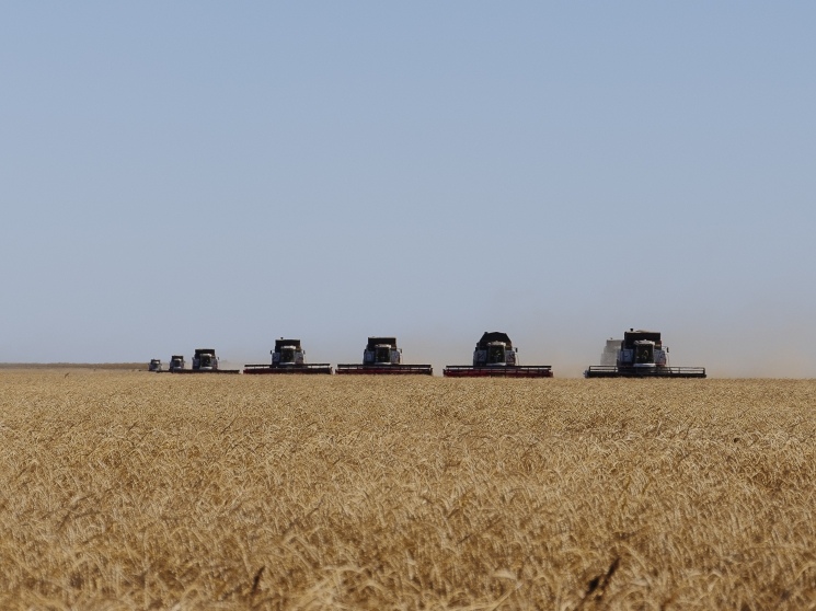 Эффект высокой базы. К чему ведет сворачивание масштабной поддержки АПК — Журнал «Агроинвестор»