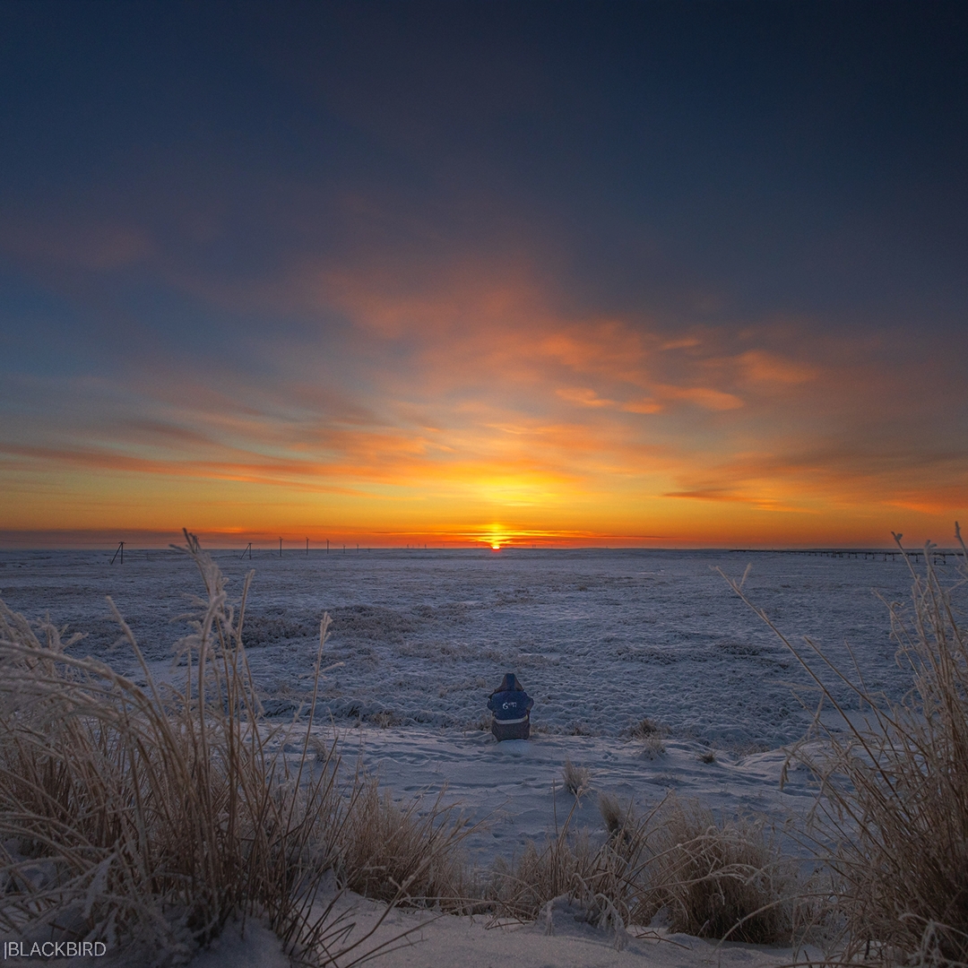 Пейзажи – как с другой планеты. Пространство – без привычных ориентиров. Тишина – почти космическая.