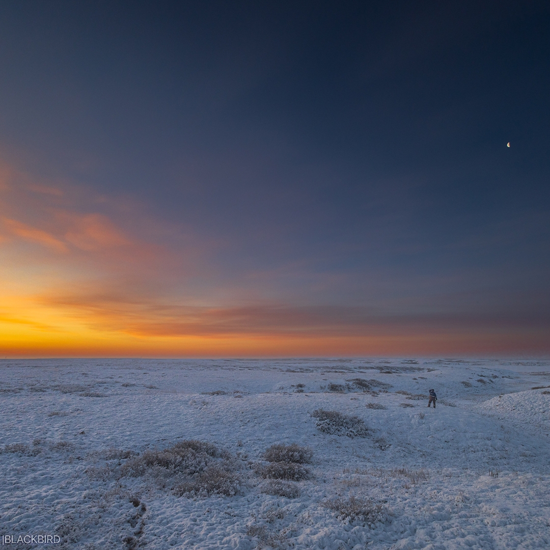 Пейзажи – как с другой планеты. Пространство – без привычных ориентиров. Тишина – почти космическая.