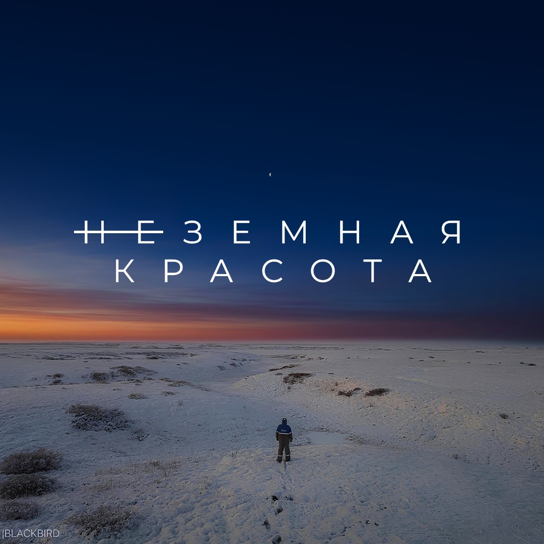 Пейзажи – как с другой планеты. Пространство – без привычных ориентиров. Тишина – почти космическая.