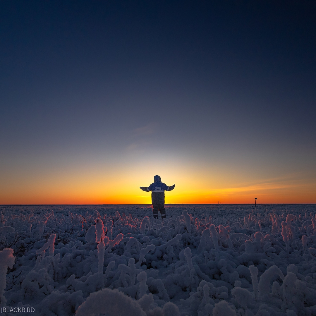 Пейзажи – как с другой планеты. Пространство – без привычных ориентиров. Тишина – почти космическая.