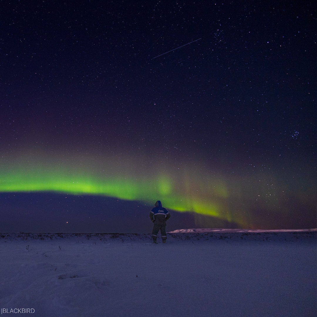 Пейзажи – как с другой планеты. Пространство – без привычных ориентиров. Тишина – почти космическая.