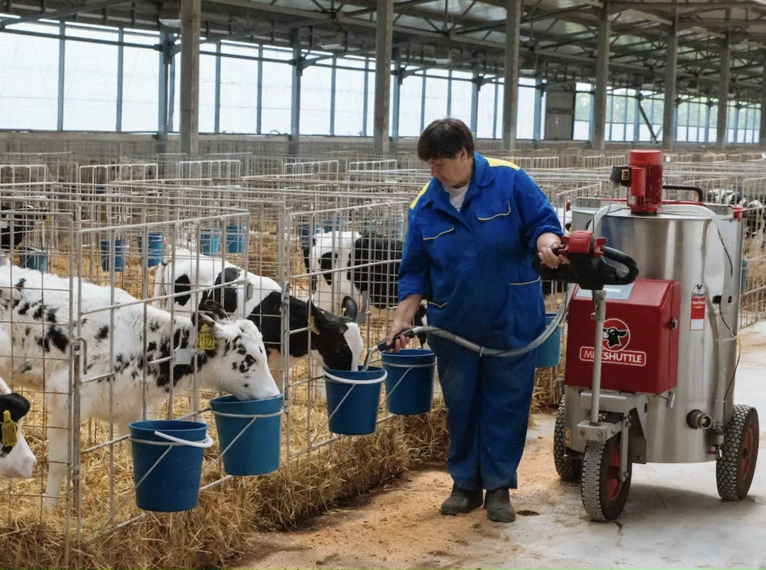 Сельхозпредприятие «Мокрое» (Липецкая область) подводит итоги работы в 2025 году. Так, надой молока по итогам января-сентября составил 29,75 тыс. т, что уже…