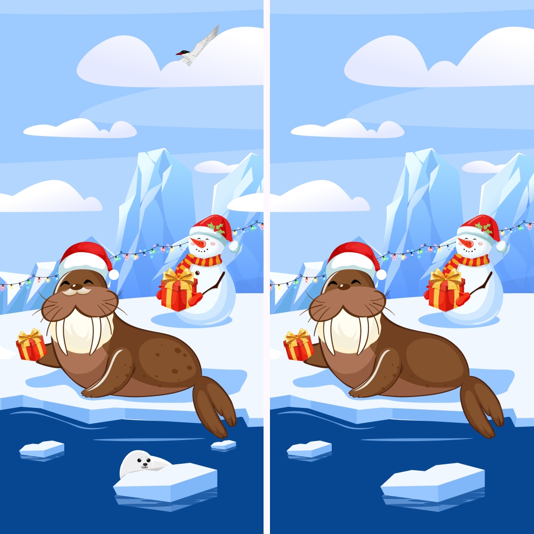Готовитесь к Новому году? Арктический морж на наших картинках тоже не сидит без дела: украшает льдины, готовит подарки и создает праздничное настроение для…