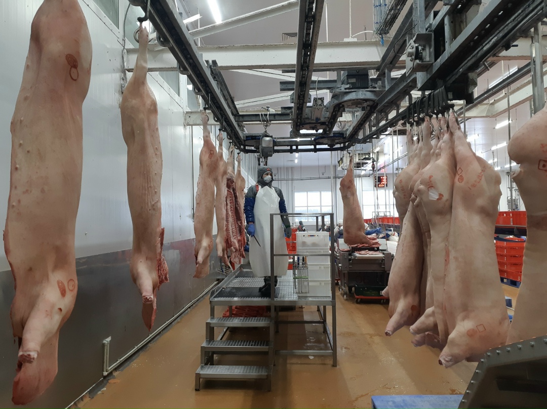 Группа «Талина» впервые экспортировала свинину на Африканский континент, в Республику Конго. Согласно сообщению пресс-службы компании, уже отгружены 54 т, в…