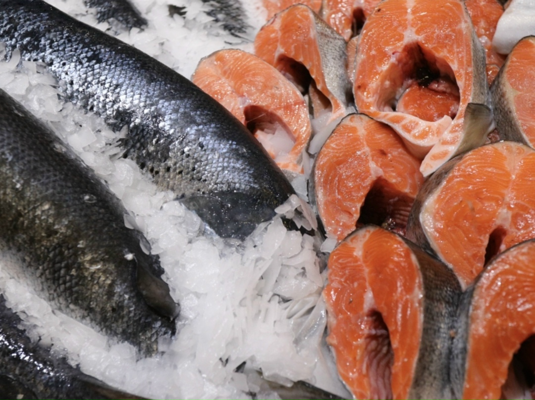 Объем среднегодовых инвестиций в переработку рыбы с 2017 по 2025 год увеличился в три раза, но основной рост пришелся на 2021 год и с тех пор объем вложений не…