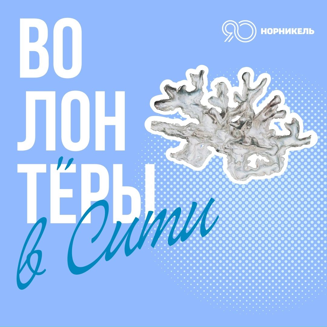 Тепла и красоты много не бывает В новогоднем благотворительном онлайн-аукционе «Волонтеры в Сити» (xn--b1aainaoogbwmif6j.xn--p1ai/) есть и то и другое