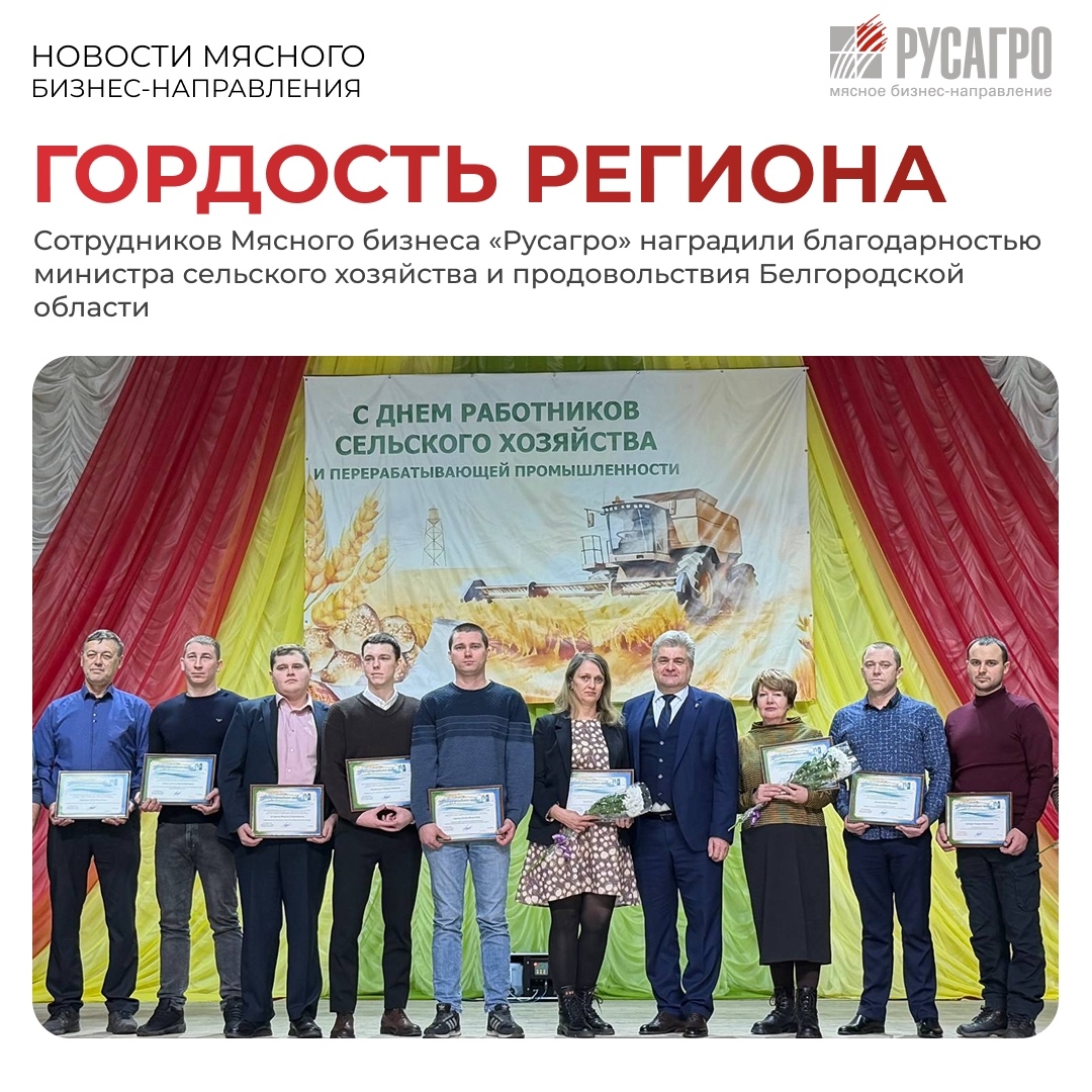 В Белгородской области отраслевыми наградами отметили сотрудников Мясного бизнеса «Русагро»