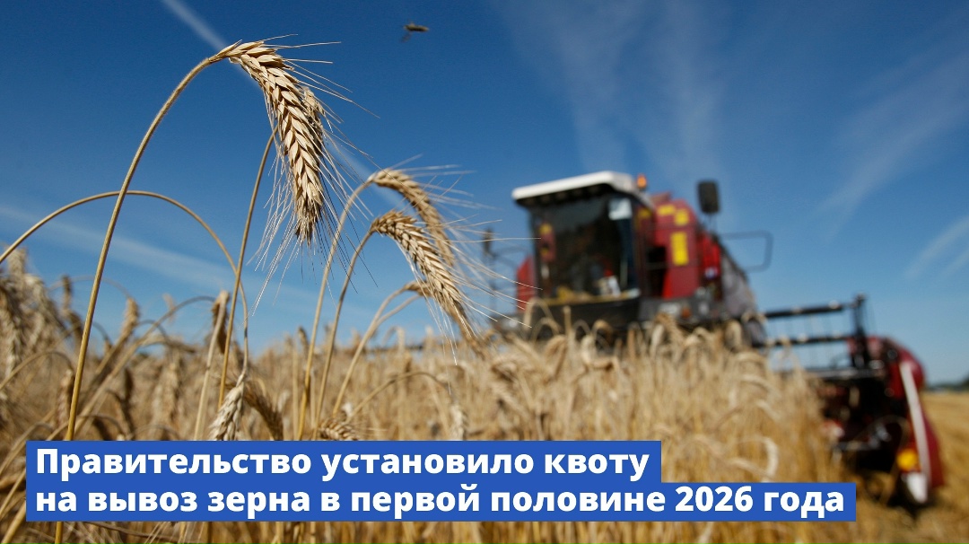Правительство установило квоту на вывоз зерна в первой половине 2026 года.