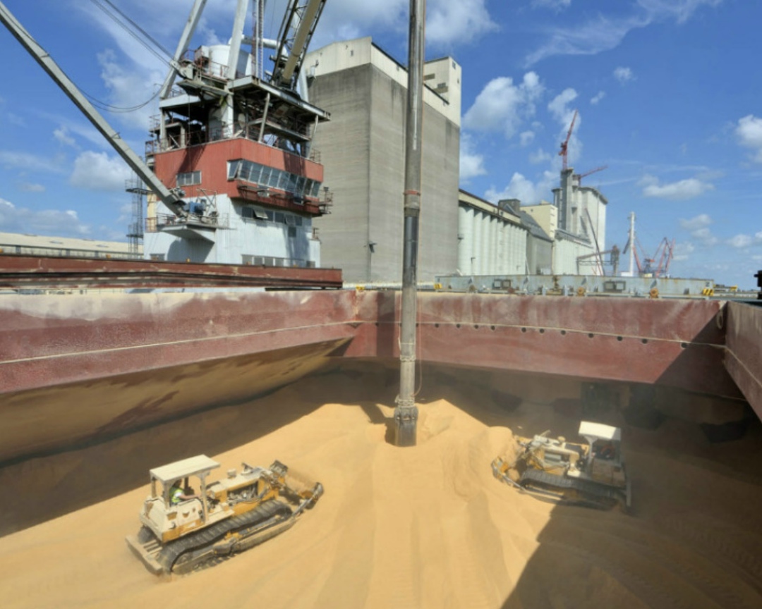 Аналитический центр «СовЭкон» оценивает экспорт пшеницы из России в декабре в 3,9 млн т – выше показателя вывоза в декабре прошлого года (3,4 млн т) и почти на…