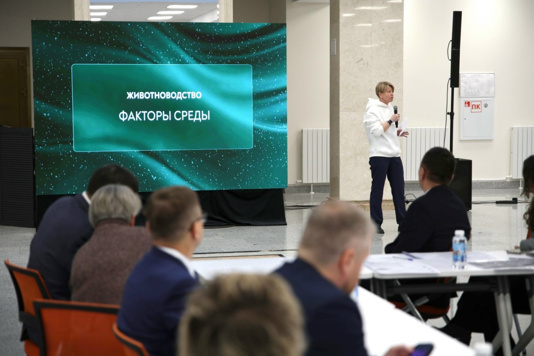 Во второй день стратсессии обсудили развитие животноводства и образовательных программ в АПК