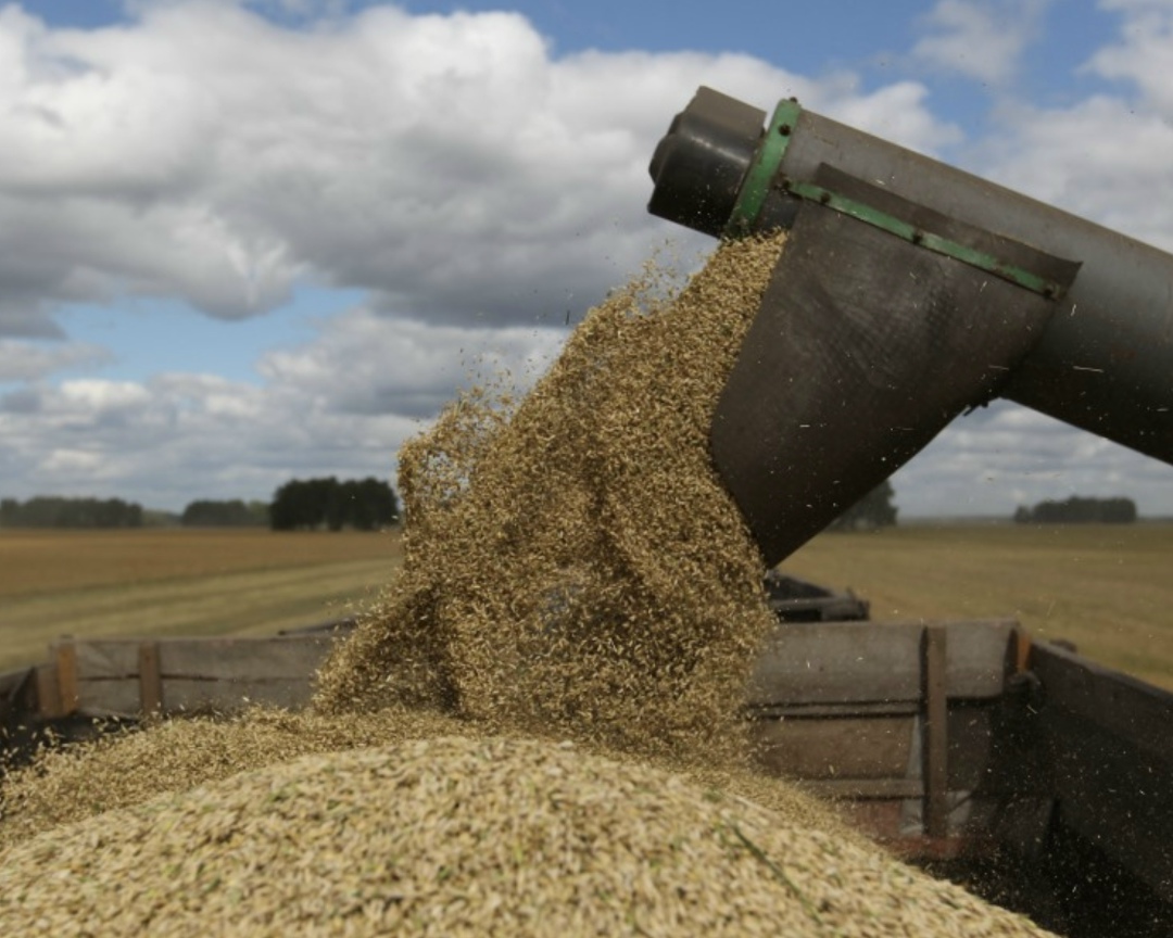 Группа «Таврос», один из крупнейших сельхозпроизводителей Республики Башкортостан, в 2025 году увеличила урожай основных агрокультур. Валовой сбор пшеницы…