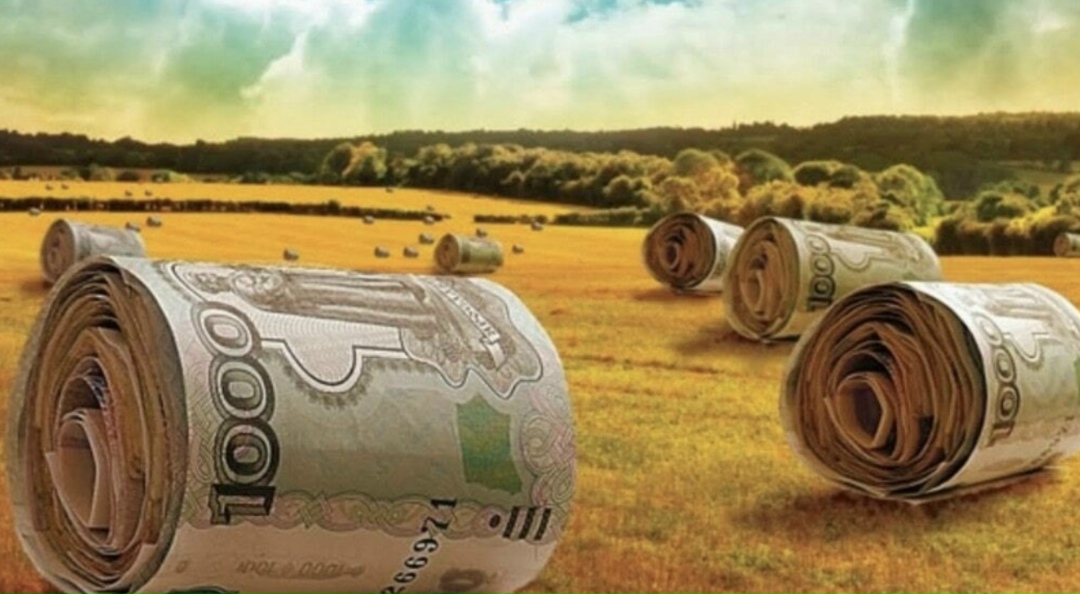 Среди крупнейших аграрных регионов России, возделывающих более 1 млн га пашни, наибольшую активность в развитии агрострахования в 2025 году проявили…