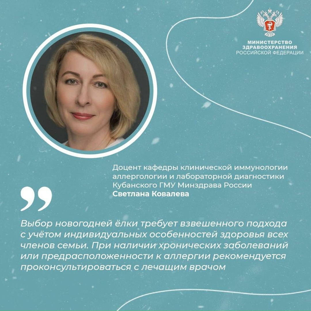 #ПростыеПравила: Живая и искусственная ёлка — польза и риски для здоровья