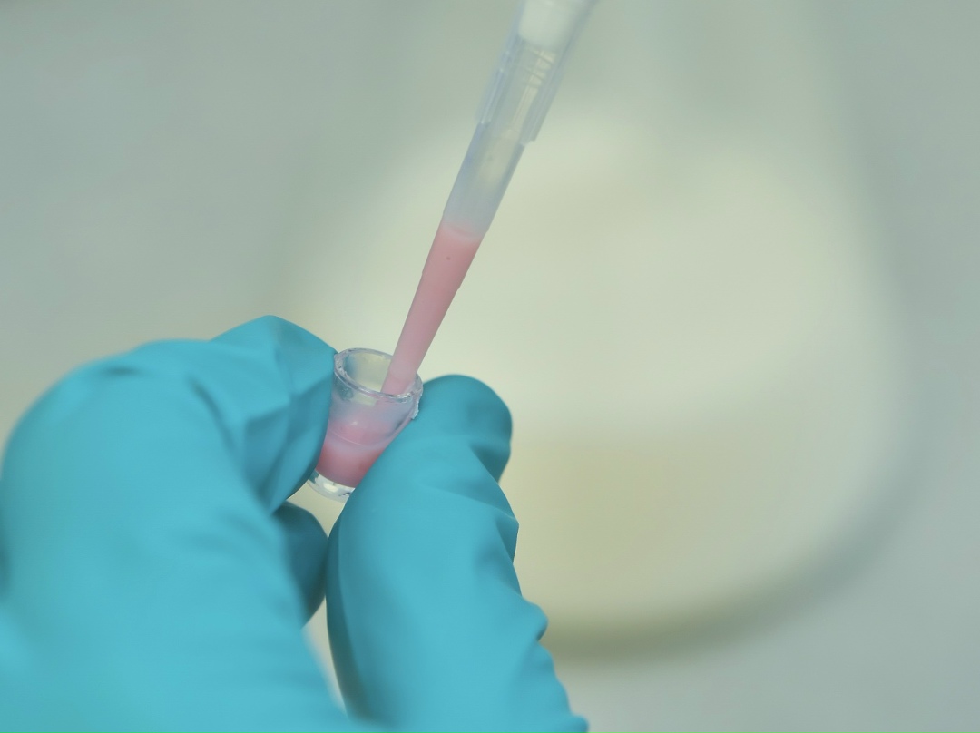 Доля российских ветеринарных лекарственных средств достигла 72,6%, тогда как ранее она составляла около 30%, сообщил глава Россельхознадзора Сергей Данкверт в…