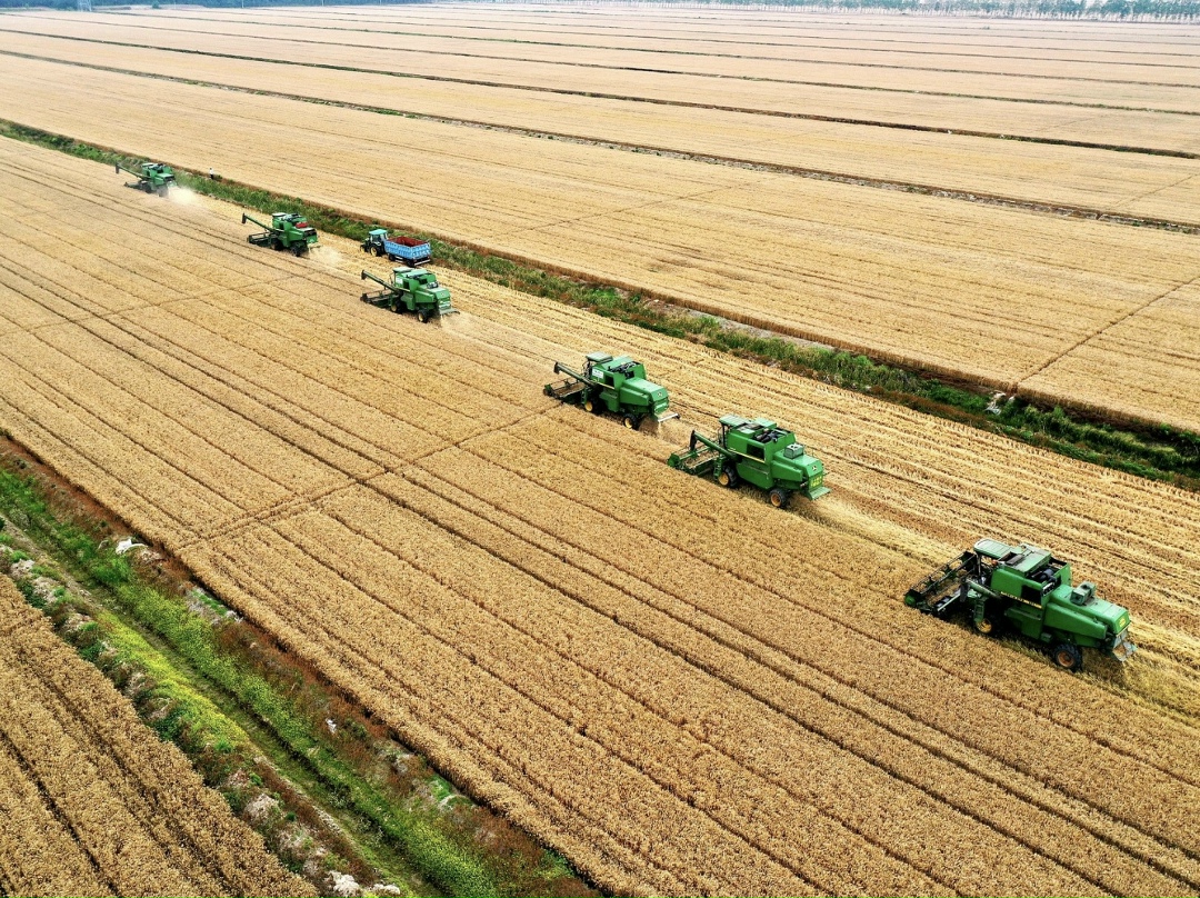 По предварительным данным Росстата, валовой сбор зерна в этом году составил 139,4 млн т в весе после доработки, что на 10,7% больше, чем в 2024-м (здесь и…