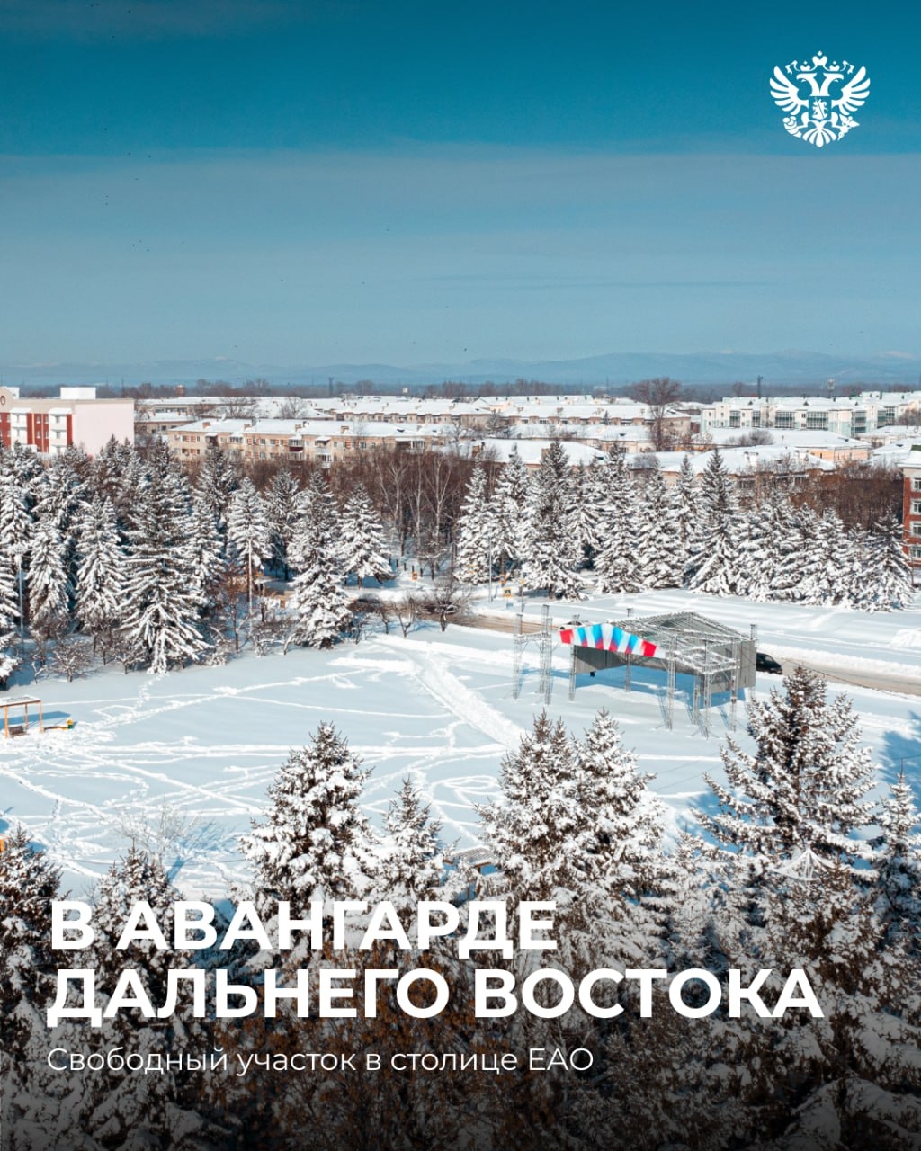 Когда решаться на новые проекты, если не на Новый год?