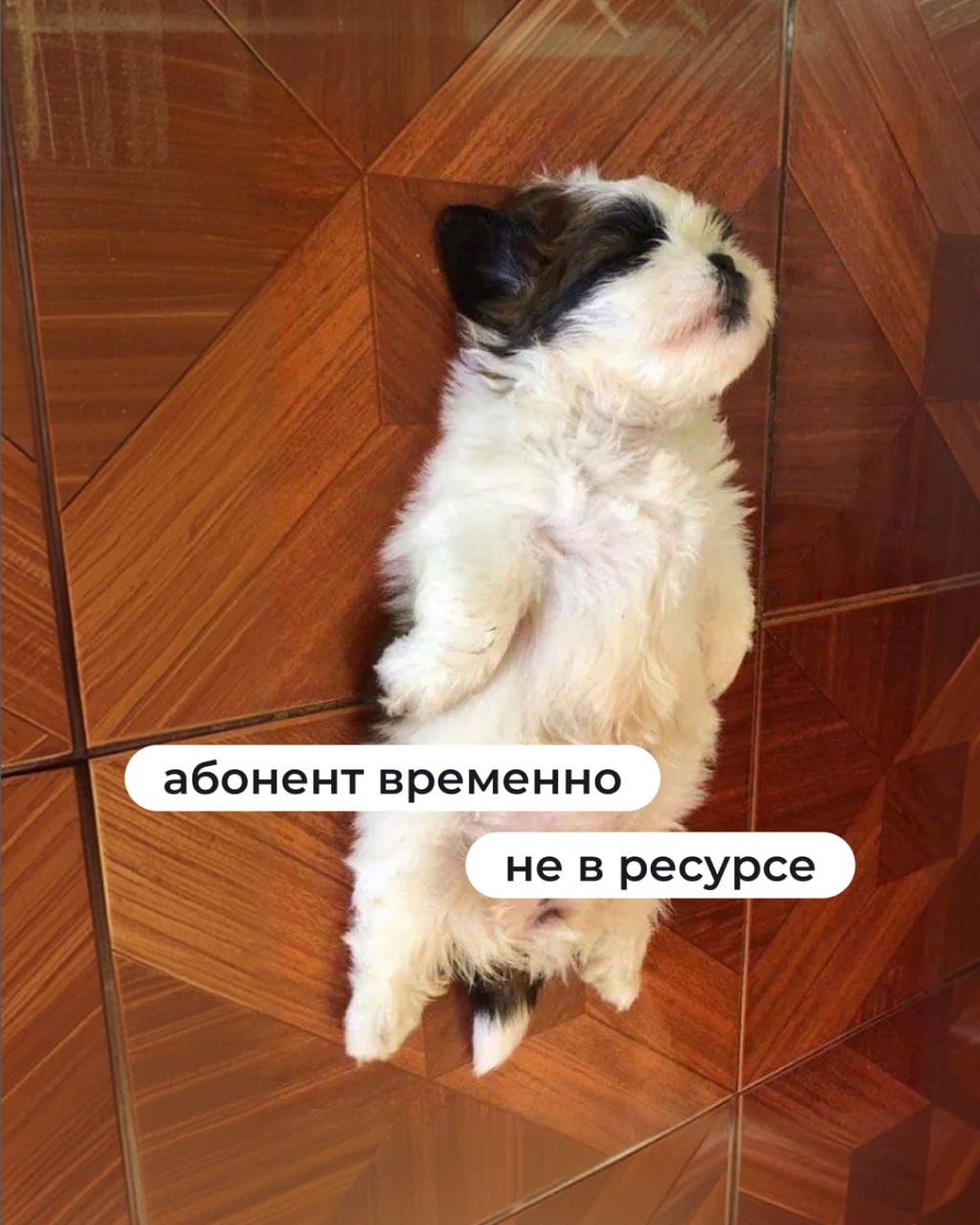 Дайджеста новостей не будет. Причина — высокая концентрация праздника в воздухе