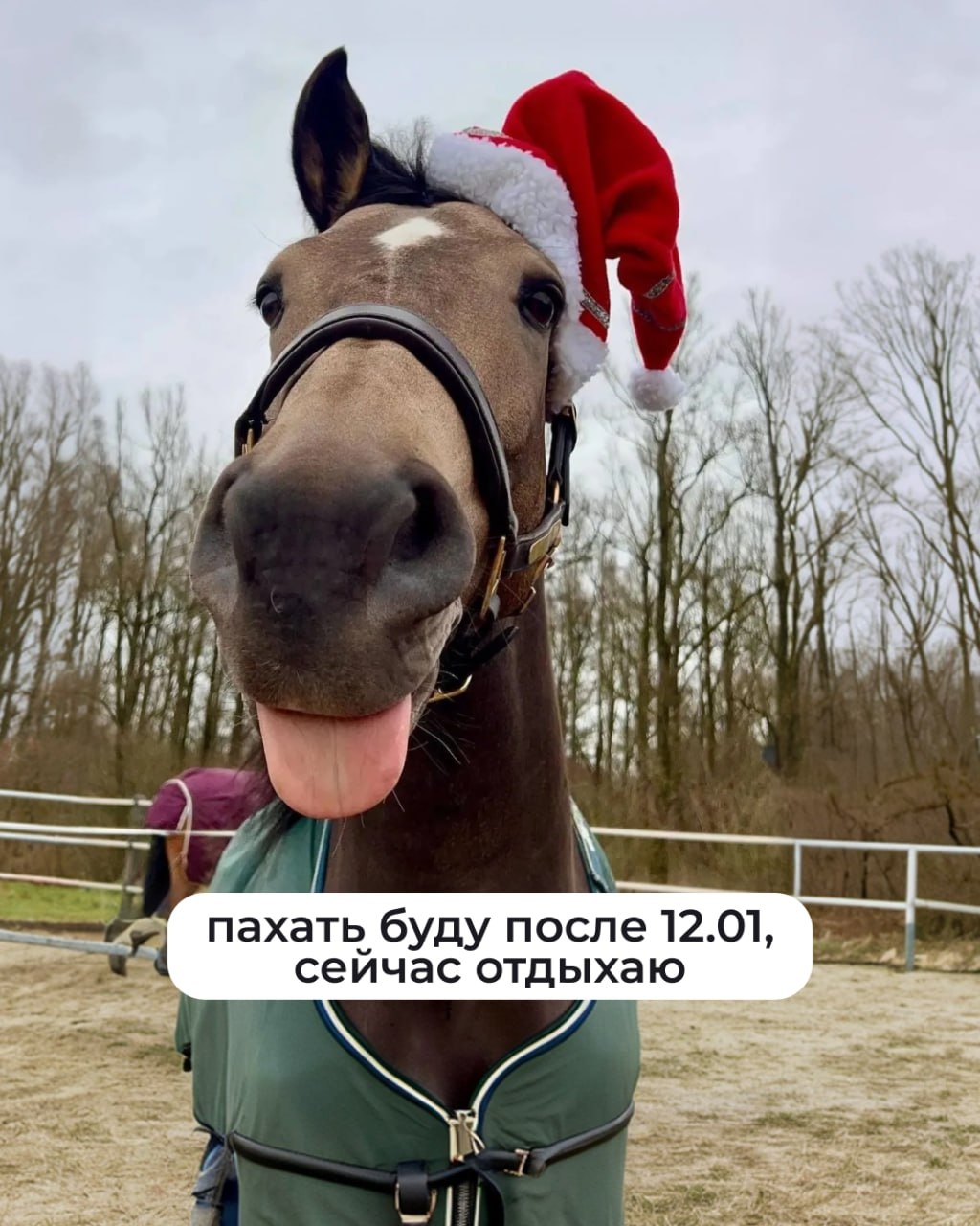 Дайджеста новостей не будет. Причина — высокая концентрация праздника в воздухе