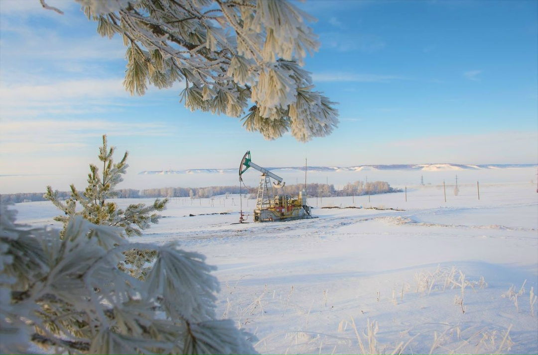 Татнефть — абсолютный ЭКОлидер-2025