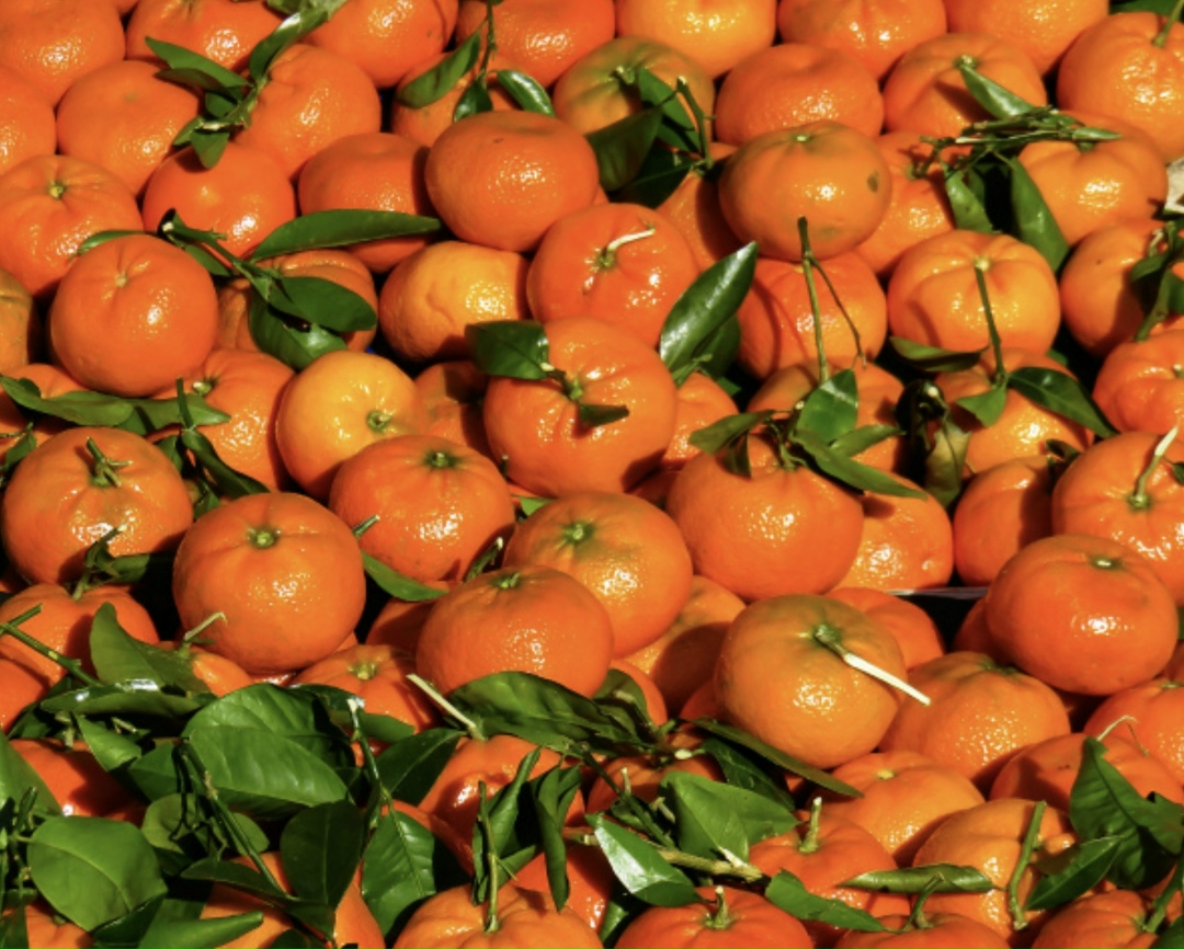 В декабре самые доступные мандарины подешевели в среднем на 25% относительно 2024-го. Это обусловлено высокими урожаями в странах, поставляющих их в Россию,…