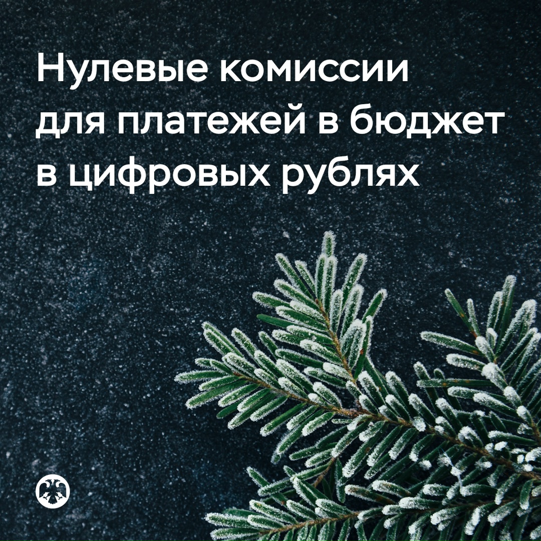 Платежи в бюджет в цифровых рублях будут без комиссии для всех