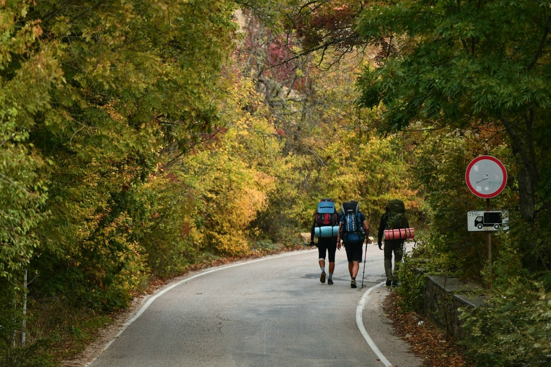 Дмитрий Чернышенко: За 11 месяцев число туристических поездок по стране достигло 82,9 млн.