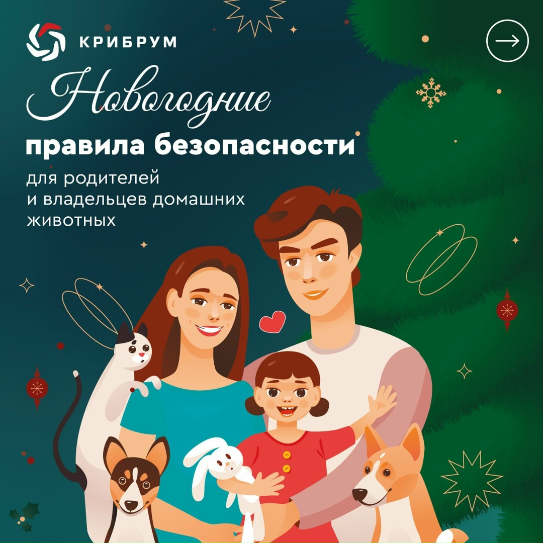 На носу новогодние праздники, и чтобы они не были омрачены непредвиденными неприятностями, необходимо всегда помнить о безопасности.