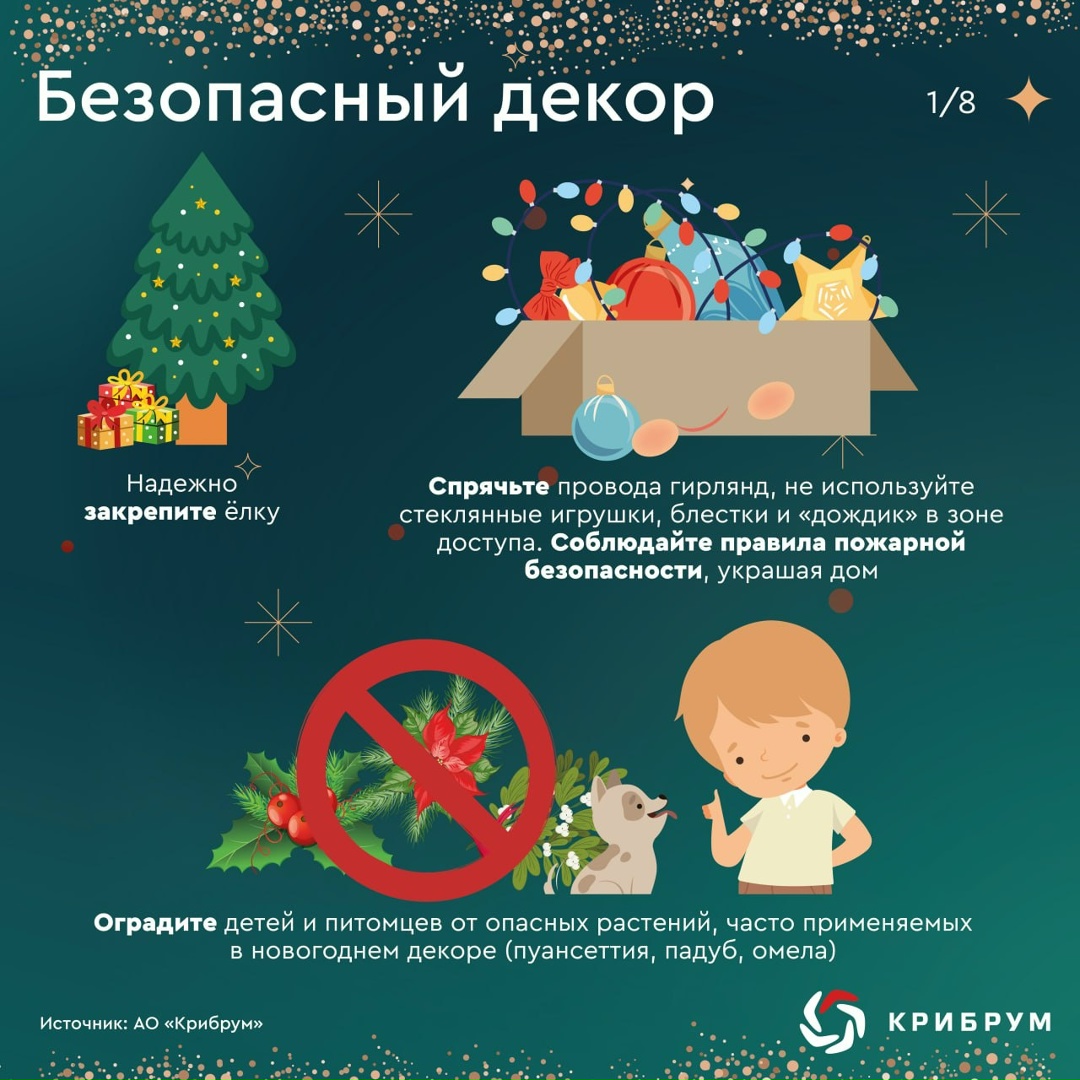 На носу новогодние праздники, и чтобы они не были омрачены непредвиденными неприятностями, необходимо всегда помнить о безопасности.