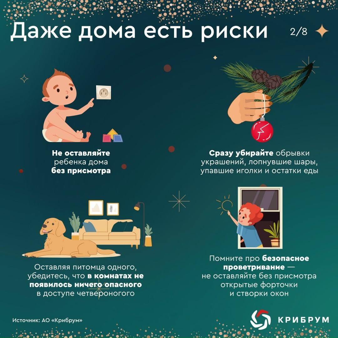 На носу новогодние праздники, и чтобы они не были омрачены непредвиденными неприятностями, необходимо всегда помнить о безопасности.