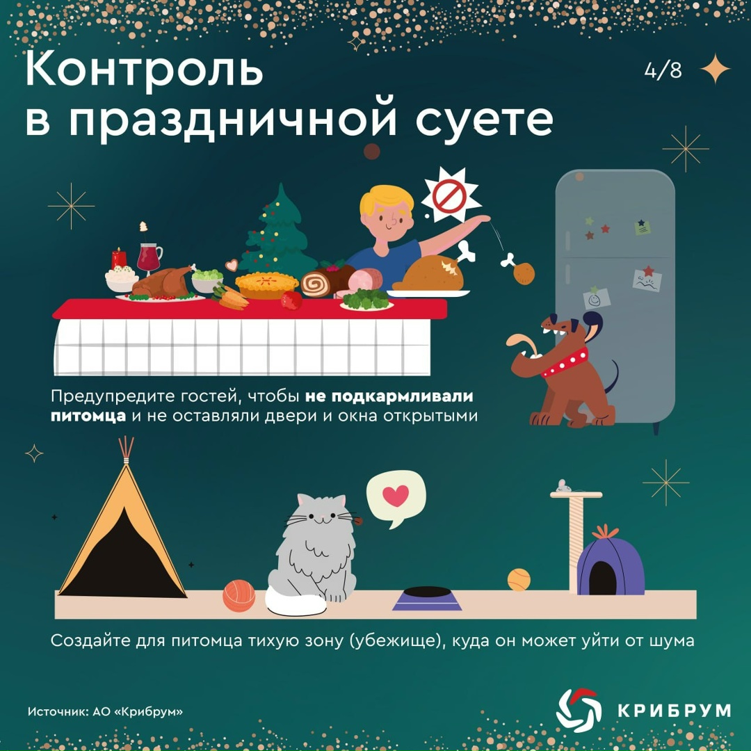 На носу новогодние праздники, и чтобы они не были омрачены непредвиденными неприятностями, необходимо всегда помнить о безопасности.