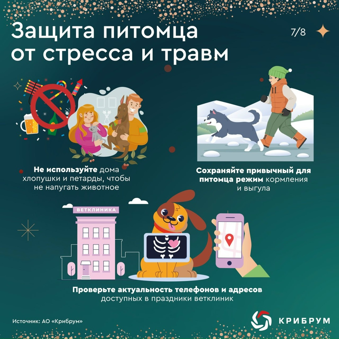 На носу новогодние праздники, и чтобы они не были омрачены непредвиденными неприятностями, необходимо всегда помнить о безопасности.