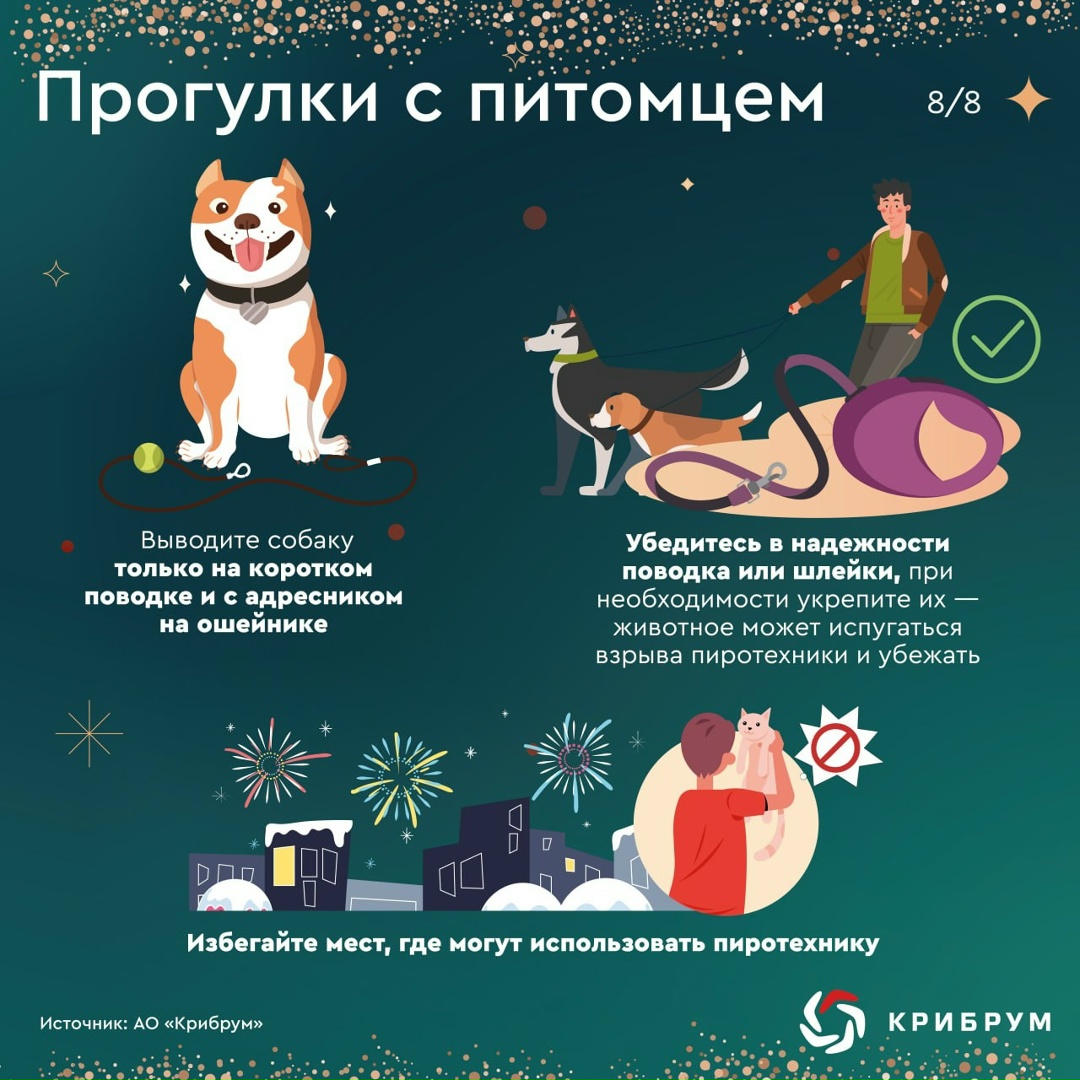 На носу новогодние праздники, и чтобы они не были омрачены непредвиденными неприятностями, необходимо всегда помнить о безопасности.