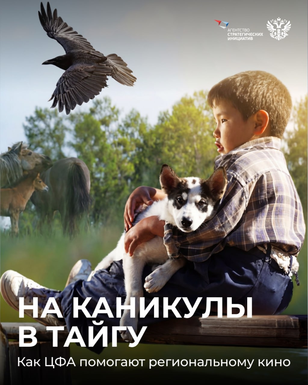 Как создать региональный фильм? Нам понадобится местная литература, красота природы, немного сказки и... финтех