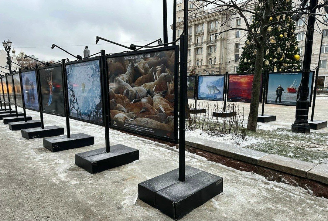 Арктика в центре столицы На Тверском бульваре в Москве при поддержке «Роснефти» и «Иннопрактики» открылась уличная фотовыставка «Притяжение Арктики»