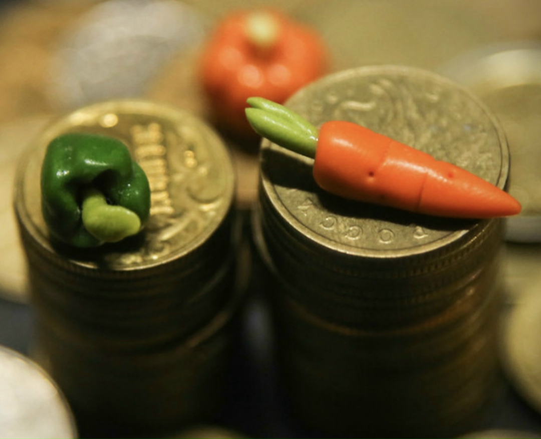 С 2026 года на Дальнем Востоке начинает действовать специальный льготный режим для иностранных инвесторов