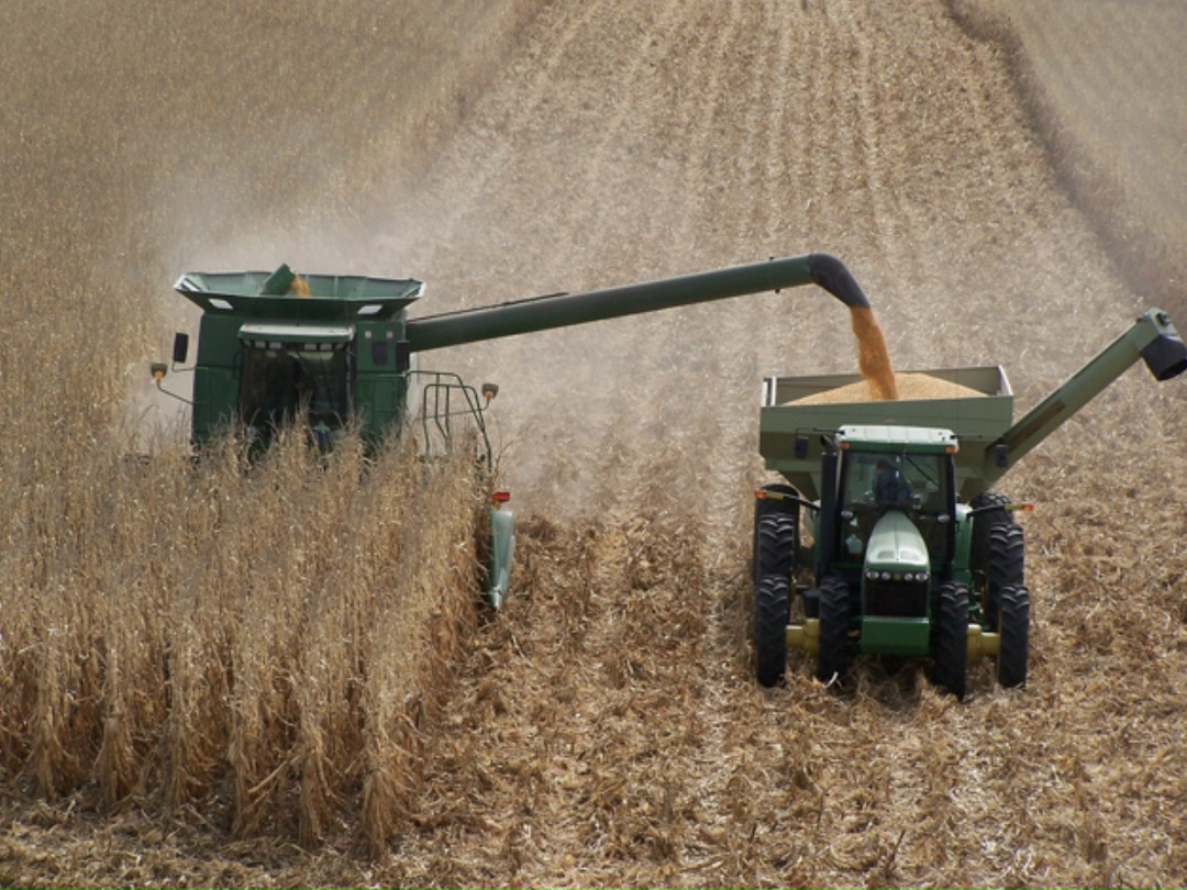 Самое интересное за декабрь В декабре Росстат предварительно оценил объем урожая, правительство установило квоты на экспорт зерна и риса-сырца, НТБ начала…