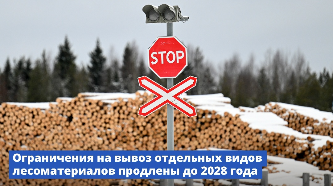 Повышенные ставки вывозных таможенных пошлин на брус и пиломатериалы из хвойных пород древесины и ценных лиственных пород, таких как дуб, бук, ясень, продлены…