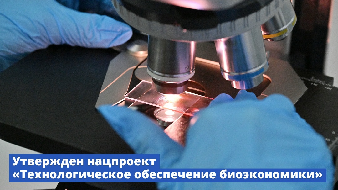 В России появился новый нацпроект «Технологическое обеспечение биоэкономики».