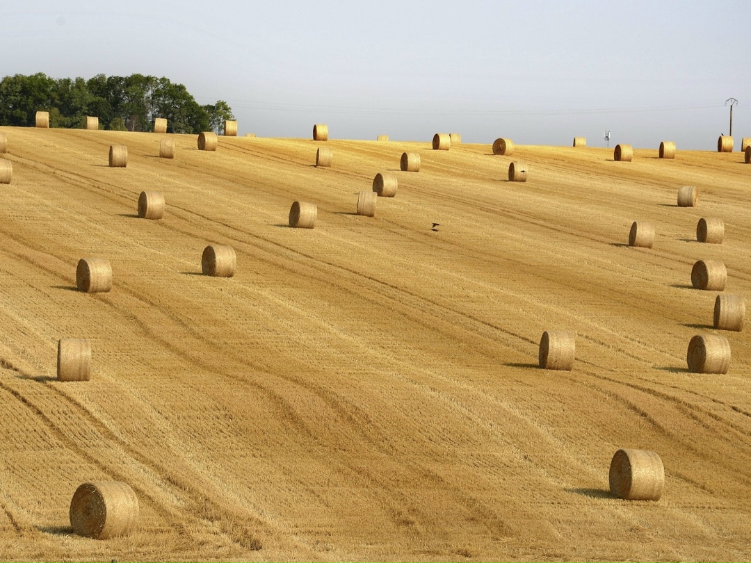 По традиции в конце года «Агроинвестор» попросил экспертов и участников рынка оценить, как для отрасли сложился прошедший год, какие позитивные или негативные…