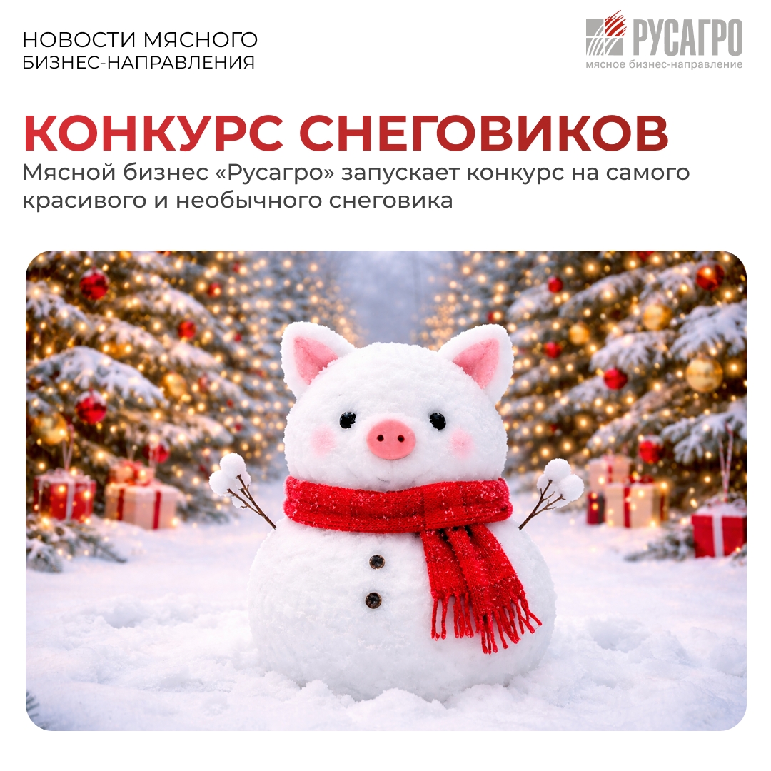 Новогодние праздники – это время, когда дом наполняется смехом и теплом, а самые простые идеи превращаются в настоящие сказки