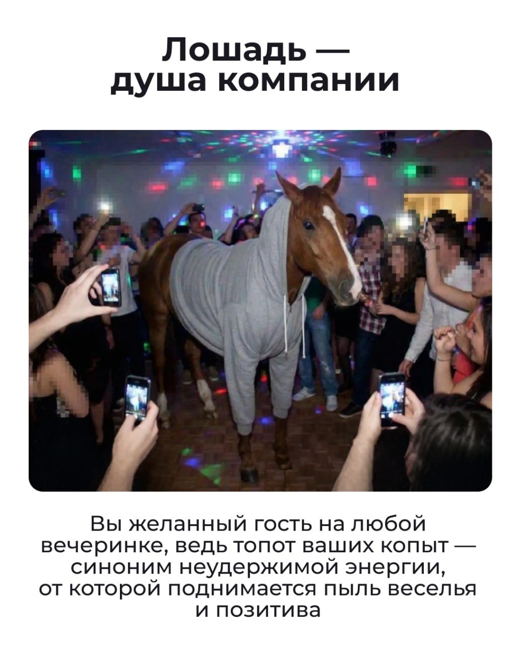 Состояние на начало 2026 года — Лошадь