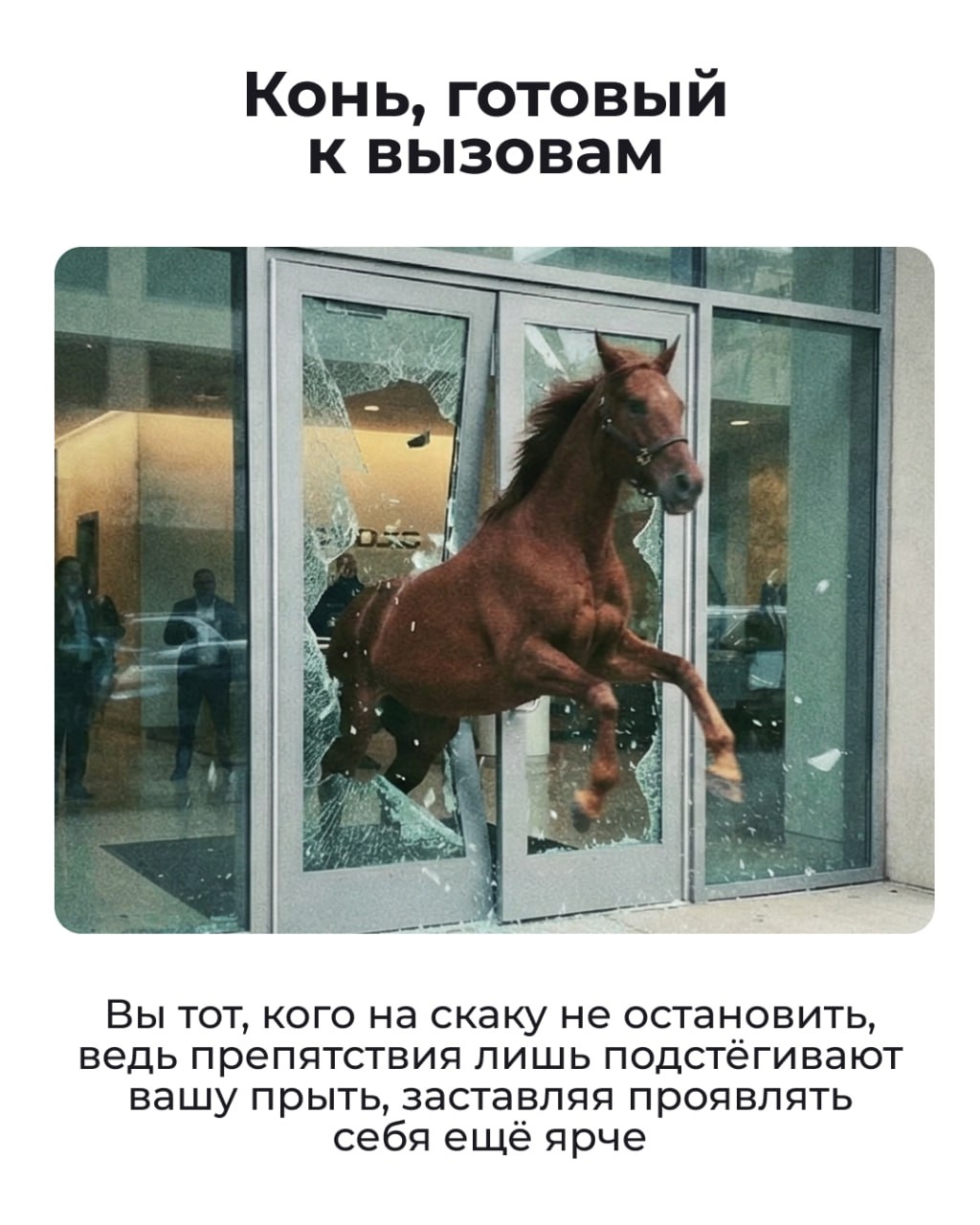 Состояние на начало 2026 года — Лошадь