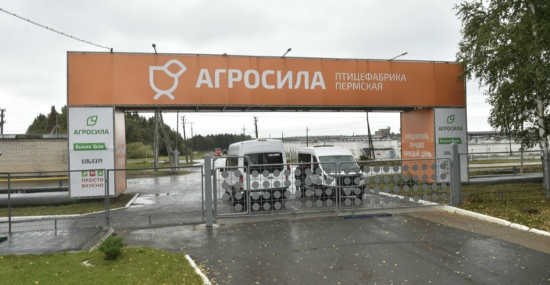 Холдинг «Агросила» реализует масштабную инвестиционную программу развития Пермской птицефабрики. Общий объем инвестиций с 2023-го по 2026 год превышает 1,15…
